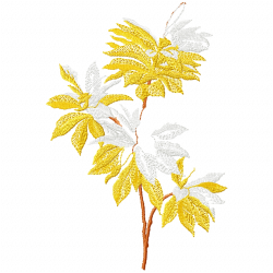 Flowers And Tree Embroidery Design 8 Flowers And Tree Embroidery Design 8